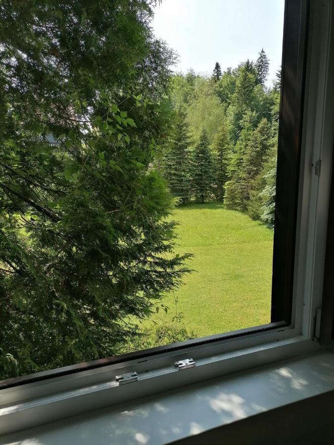 Haus Aschau Daire Bad Ischl Dış mekan fotoğraf